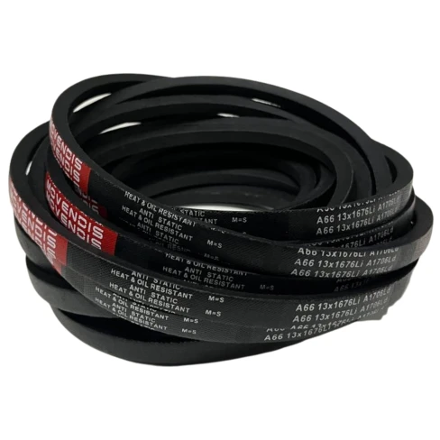 CORREIA EM V A 66 MOVENDIS