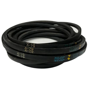 CORREIA EM V A 79 FENLOP