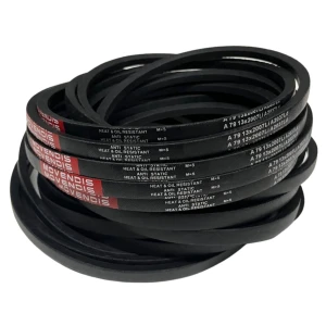 CORREIA EM V A 79 MOVENDIS