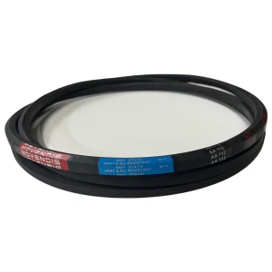 CORREIA EM V AA 112 MOVENDIS