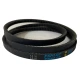 CORREIA EM V AX 66 FENLOP