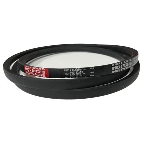 CORREIA EM V B 103 MOVENDIS/STEIGENTECH
