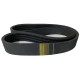 CORREIA EM V B 112/3 REXON POWERBAND