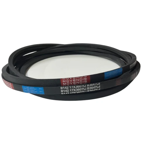 CORREIA EM V B 142 MOVENDIS