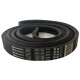 CORREIA EM V B 144/2 CONTINENTAL POWERBAND CORREIA EM V B 144/2 CONTINENTAL POWERBAND