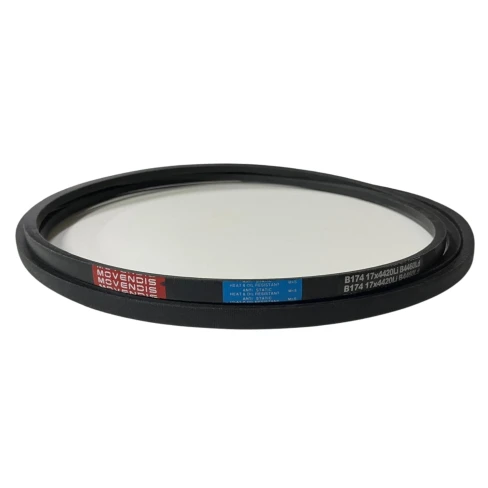 CORREIA EM V B 174 MOVENDIS