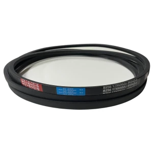 CORREIA EM V B 256 MOVENDIS