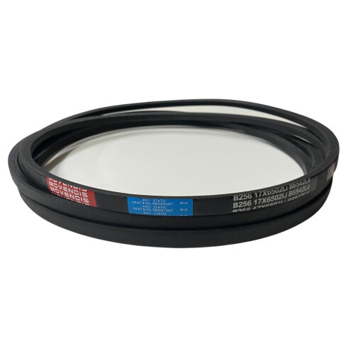 CORREIA EM V B 256 MOVENDIS