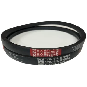 CORREIA EM V B 28 MOVENDIS