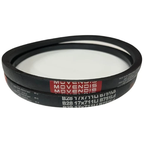 CORREIA EM V B 28 MOVENDIS