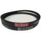 CORREIA EM V B 28 MOVENDIS