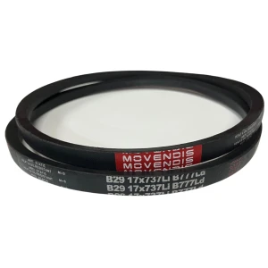 CORREIA EM V B 29 MOVENDIS