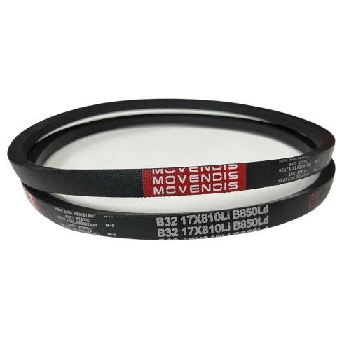 CORREIA EM V B 32 MOVENDIS/STEIGENTECH