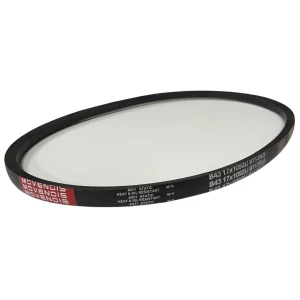 CORREIA EM V B 43 MOVENDIS