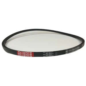 CORREIA EM V B 51 MOVENDIS