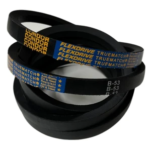 CORREIA EM V B 53 CONDOR