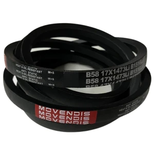 CORREIA EM V B 58 MOVENDIS