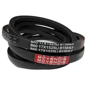 CORREIA EM V B 60 MOVENDIS
