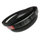 CORREIA EM V B 61 MOVENDIS