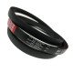CORREIA EM V B 61 MOVENDIS