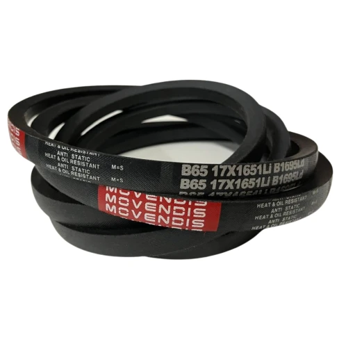 CORREIA EM V B 65 MOVENDIS