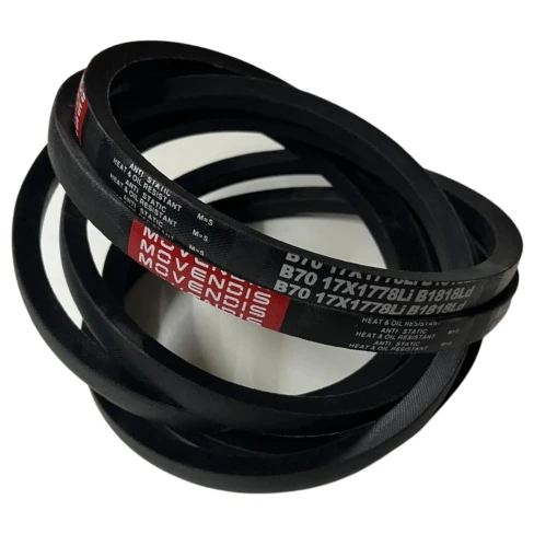 CORREIA EM V B 70 MOVENDIS