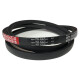 CORREIA EM V B 71 MOVENDIS