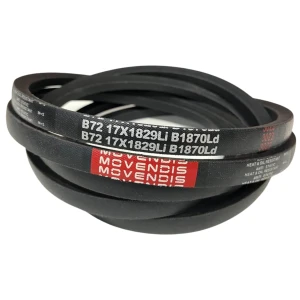CORREIA EM V B 72 MOVENDIS