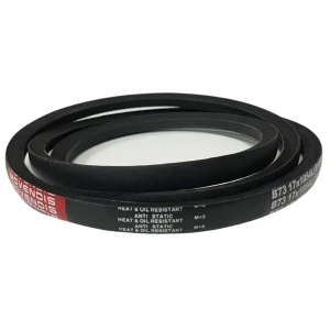 CORREIA EM V B 73 MOVENDIS