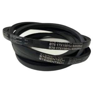 CORREIA EM V B 78 STEIGENTECH