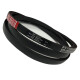 CORREIA EM V B 79 MOVENDIS