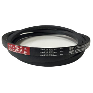 CORREIA EM V B 85 MOVENDIS