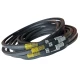 CORREIA EM V BB 200 REXON W-LINE CORREIA EM V BB 200 REXON W-LINE