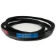 CORREIA EM V SPA 1557 MOVENDIS