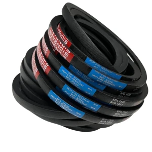 CORREIA EM V SPA 1582 MOVENDIS