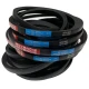 CORREIA EM V SPA 1682 MOVENDIS