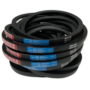 CORREIA EM V SPA 1707 MOVENDIS