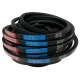 CORREIA EM V SPA 1757 MOVENDIS