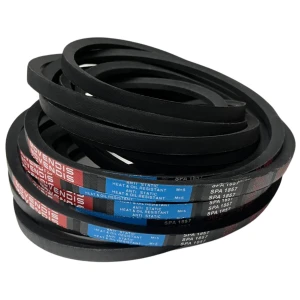 CORREIA EM V SPA 1857 MOVENDIS