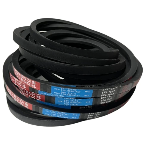 CORREIA EM V SPA 1857 MOVENDIS