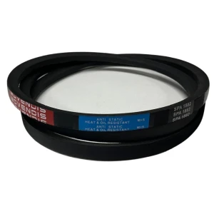 CORREIA EM V SPA 1882 MOVENDIS