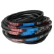 CORREIA EM V SPA 2482 MOVENDIS