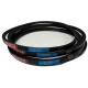 CORREIA EM V SPA 857 MOVENDIS