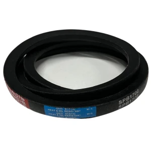 CORREIA EM V SPB 1700 MOVENDIS