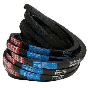 CORREIA EM V SPB 1750 MOVENDIS