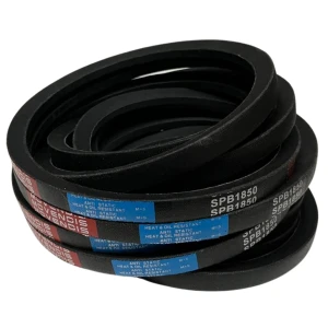 CORREIA EM V SPB 1850 MOVENDIS