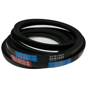 CORREIA EM V SPB 1900 MOVENDIS