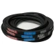 CORREIA EM V SPB 2840 MOVENDIS