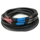 CORREIA EM V SPB 2990 MOVENDIS