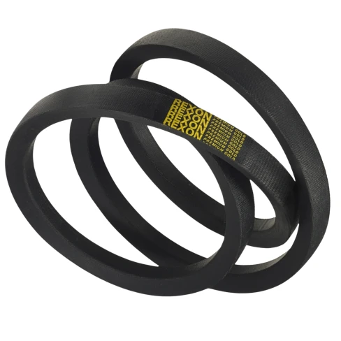 CORREIA EM V SPC 5600 REXON